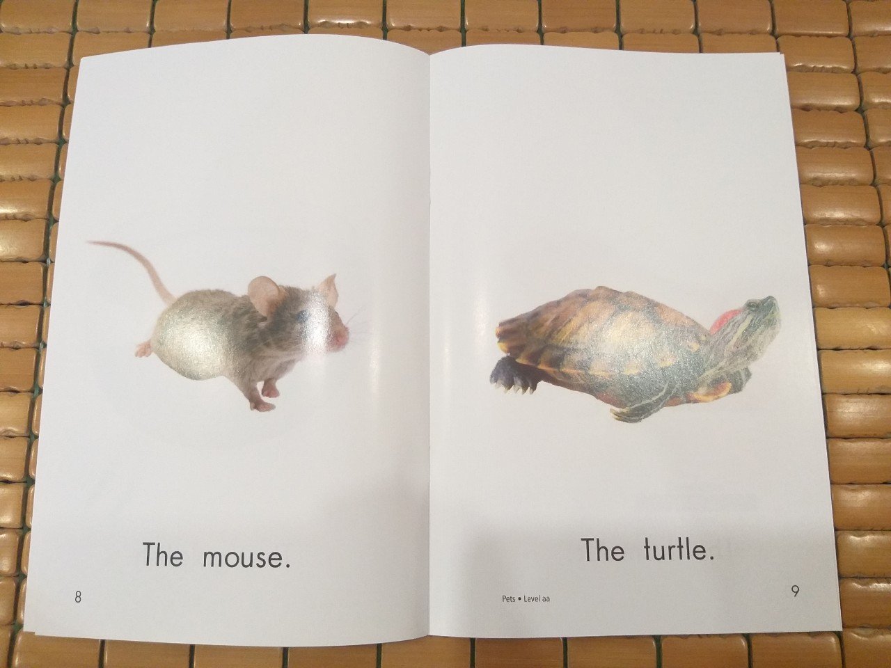 Razkids level AA (Sách nhập) - In rời 103 quyển + quiz