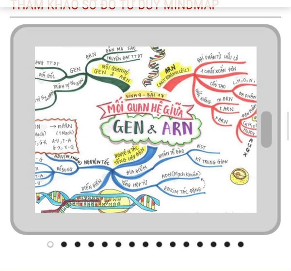 Siêu trí nhớ học đường - gói Vip 12 năm