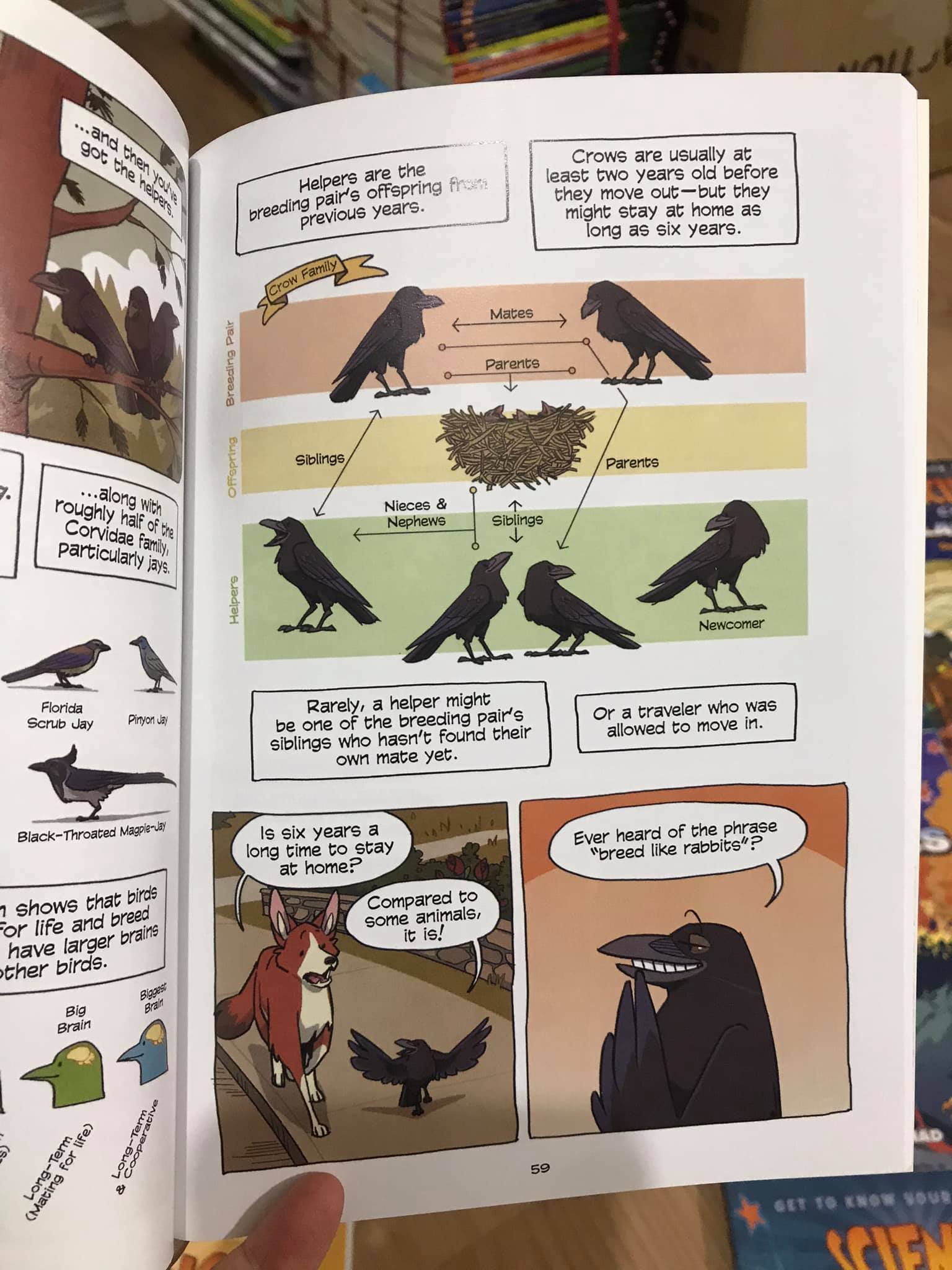 Science Comics (Sách nhập) - Full bộ 26 quyển mới nhất