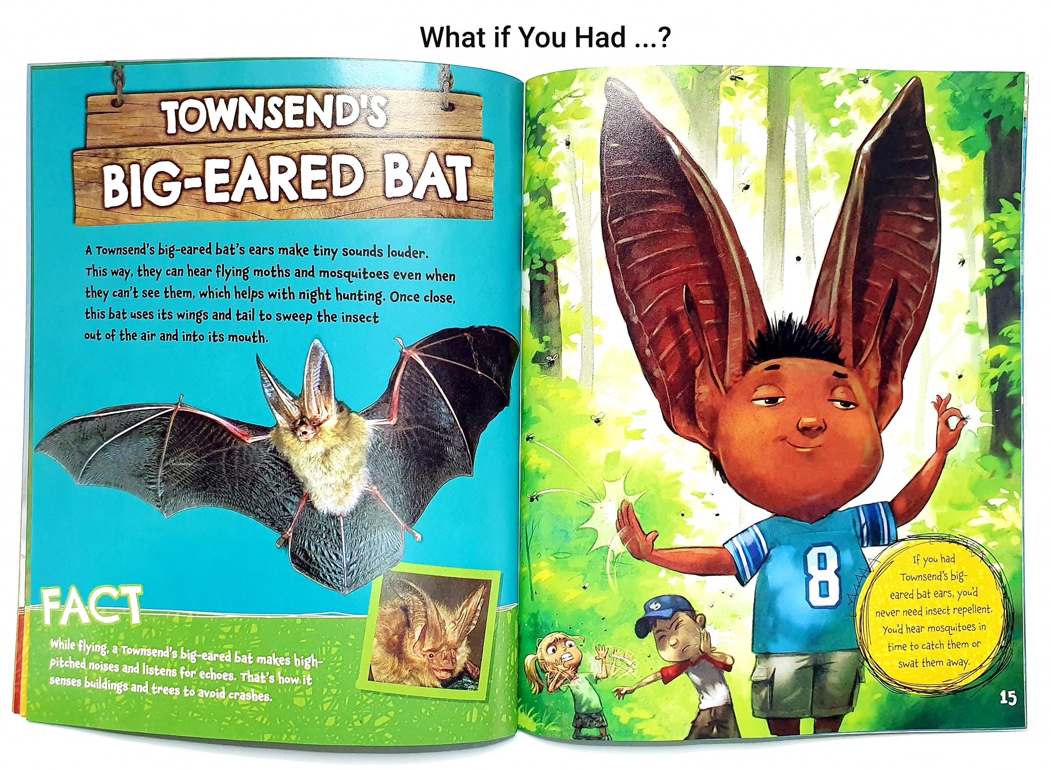 What If You Had Animal (Sách nhập) - 12 quyển