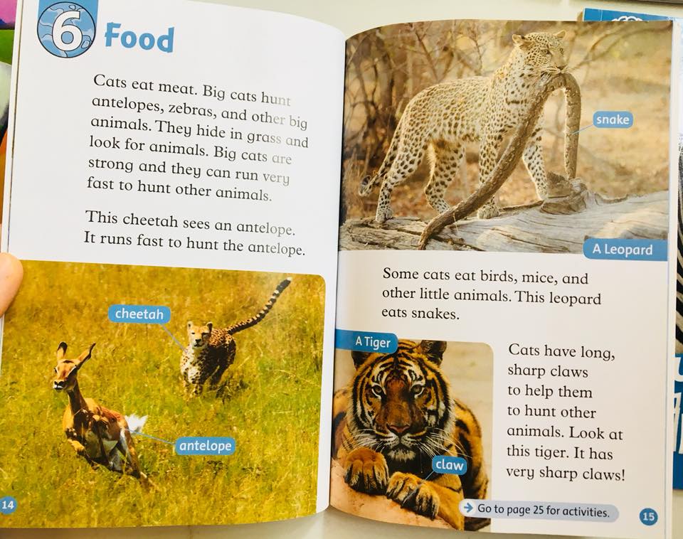 Oxford read and discover (Sách nhập) - Level 1 - 20 quyển + File Mp3