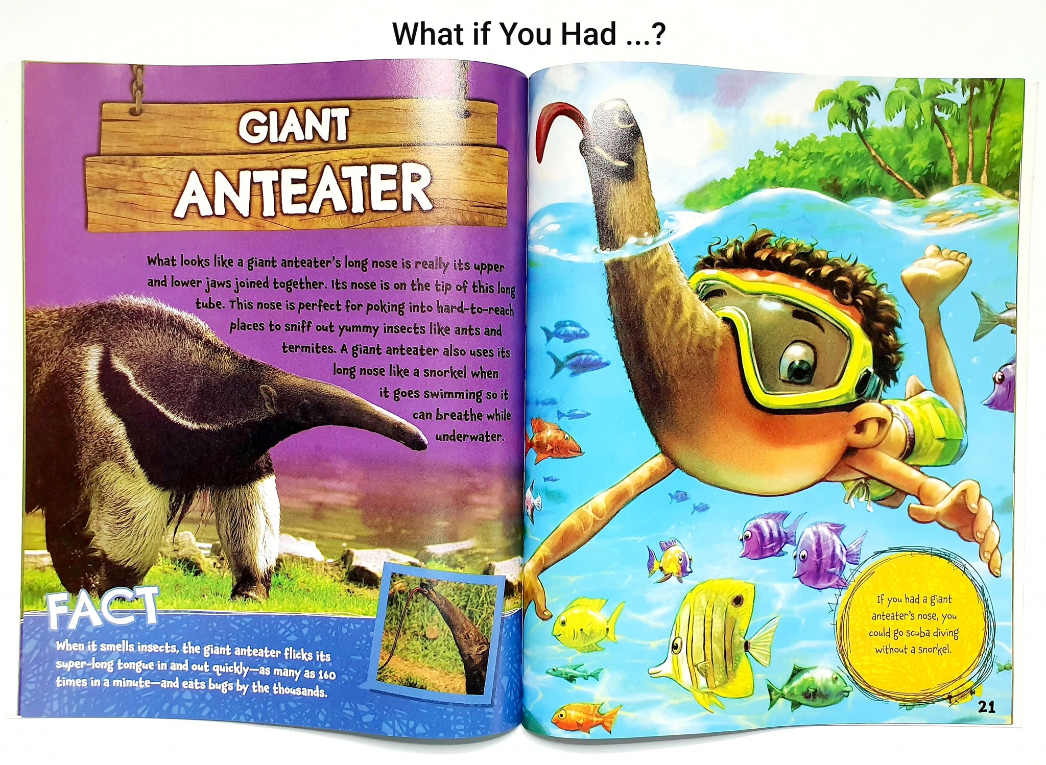 What If You Had Animal (Sách nhập) - 12 quyển