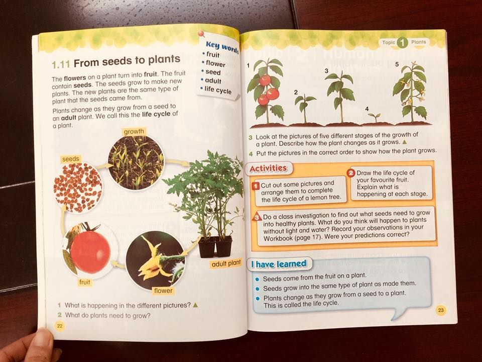 Collins International Primary Science (Sách nhập khẩu) - Bộ 12 cuốn