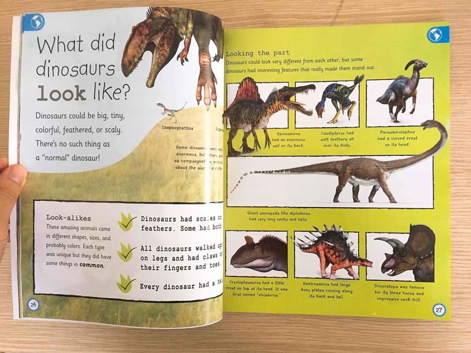 Dinosaurs - Dành cho các bạn đam mê khủng Long
