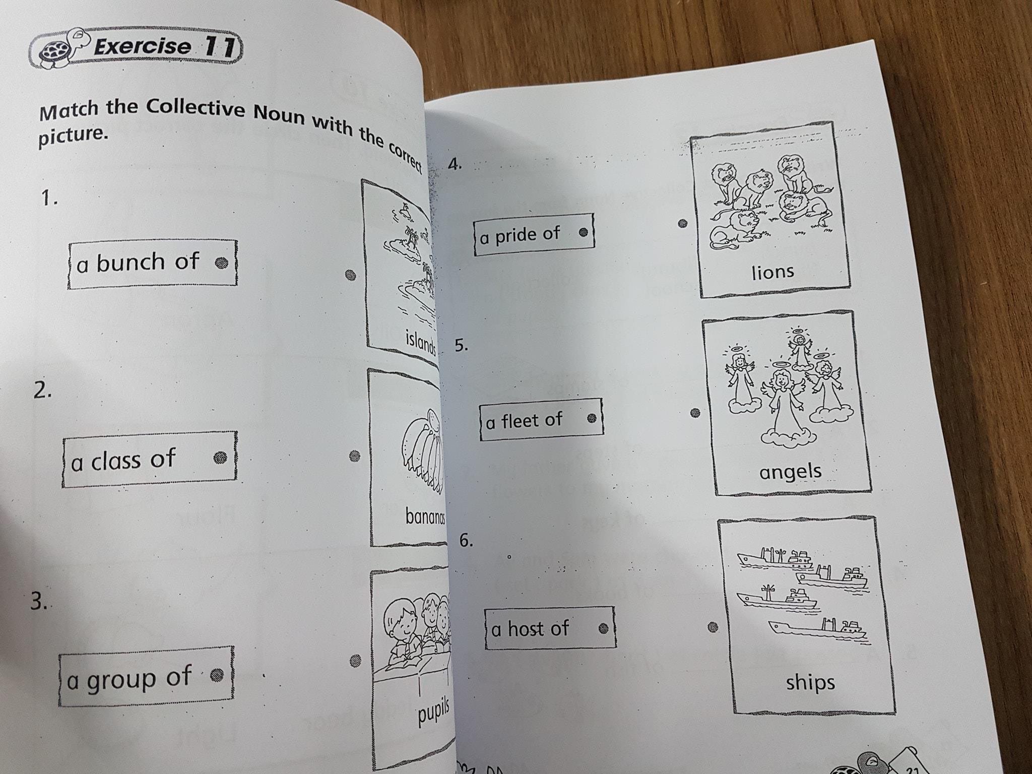 Vocabulary for Kindergarten (Bò) + Complete Book on Preschool English (Rùa) + Kinder garten comprehension (Cừu) - 3 quyển