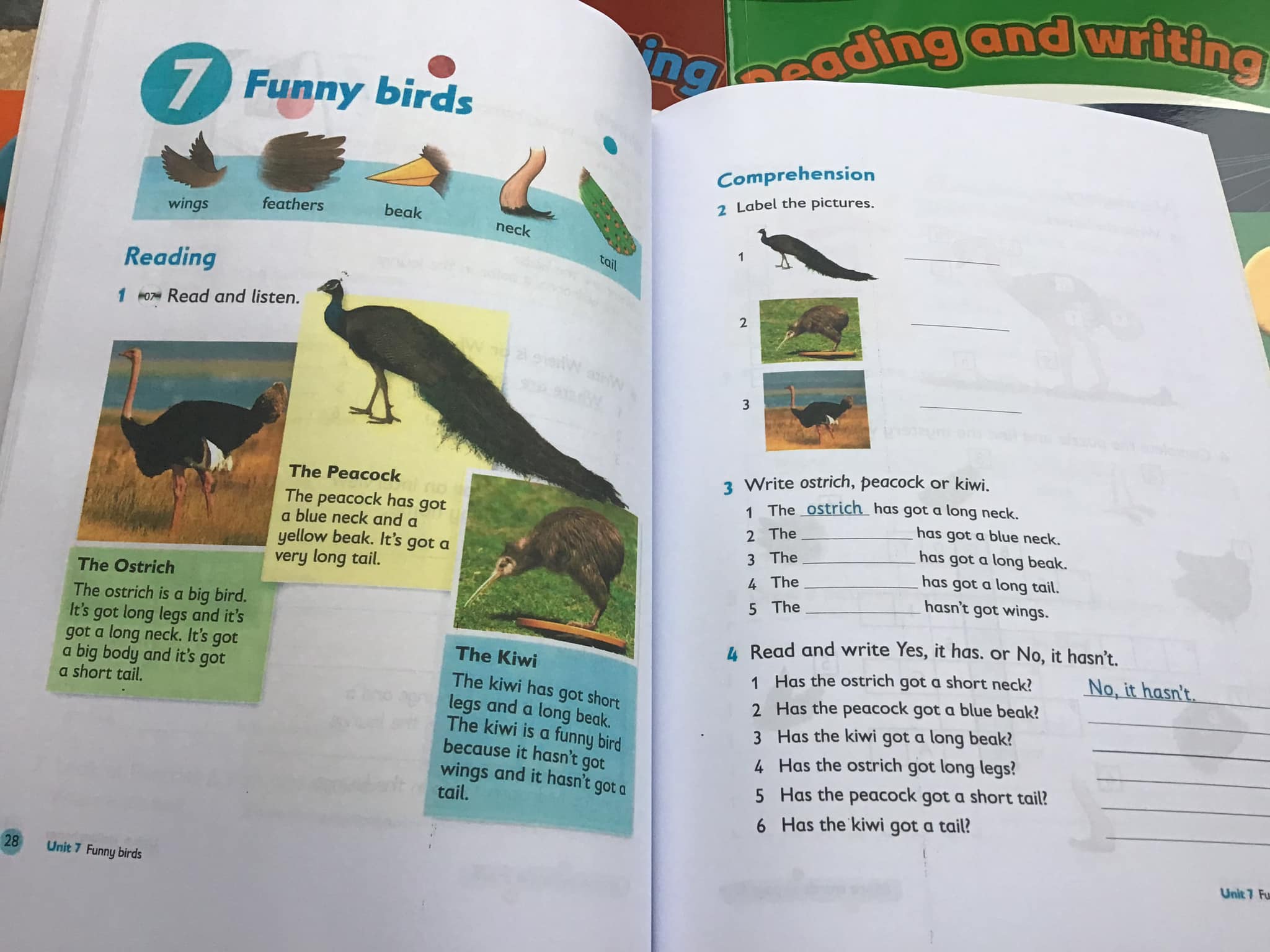 Oxford Primary Skills - Reading and Writing - 6 levels + File MP3 +Key