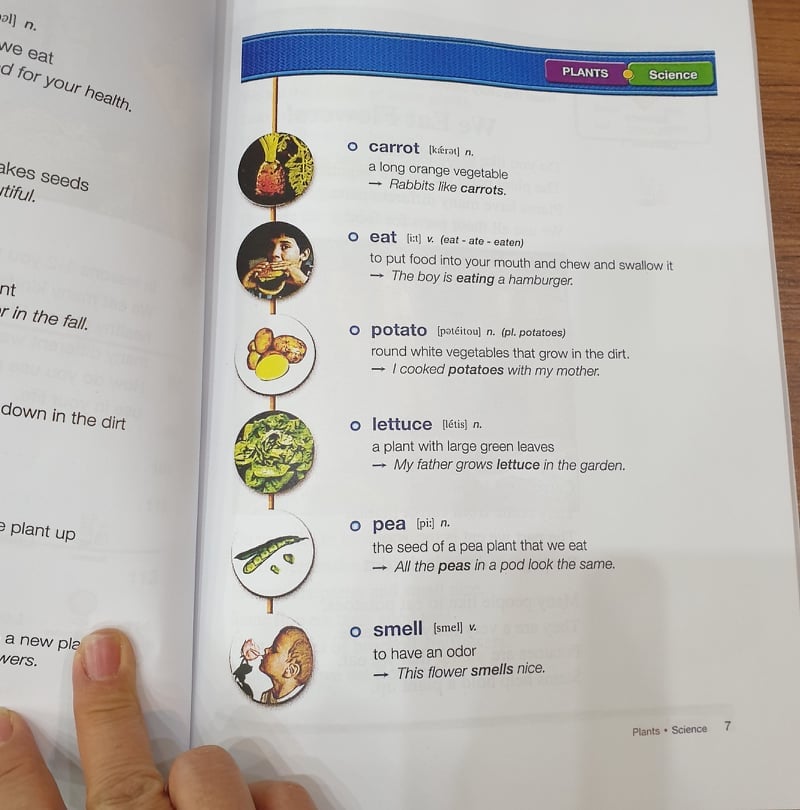 Reading for Vocabulary - Bộ 4 quyển