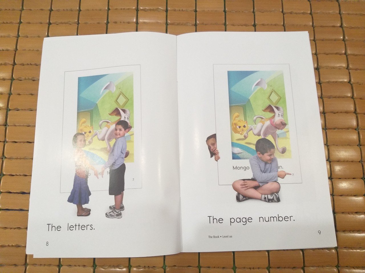 Razkids level AA (Sách nhập) - In rời 103 quyển + quiz