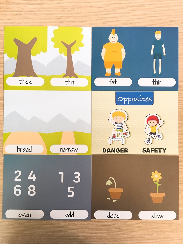 Flashcard - Bộ 100 thẻ từ vựng trái nghĩa