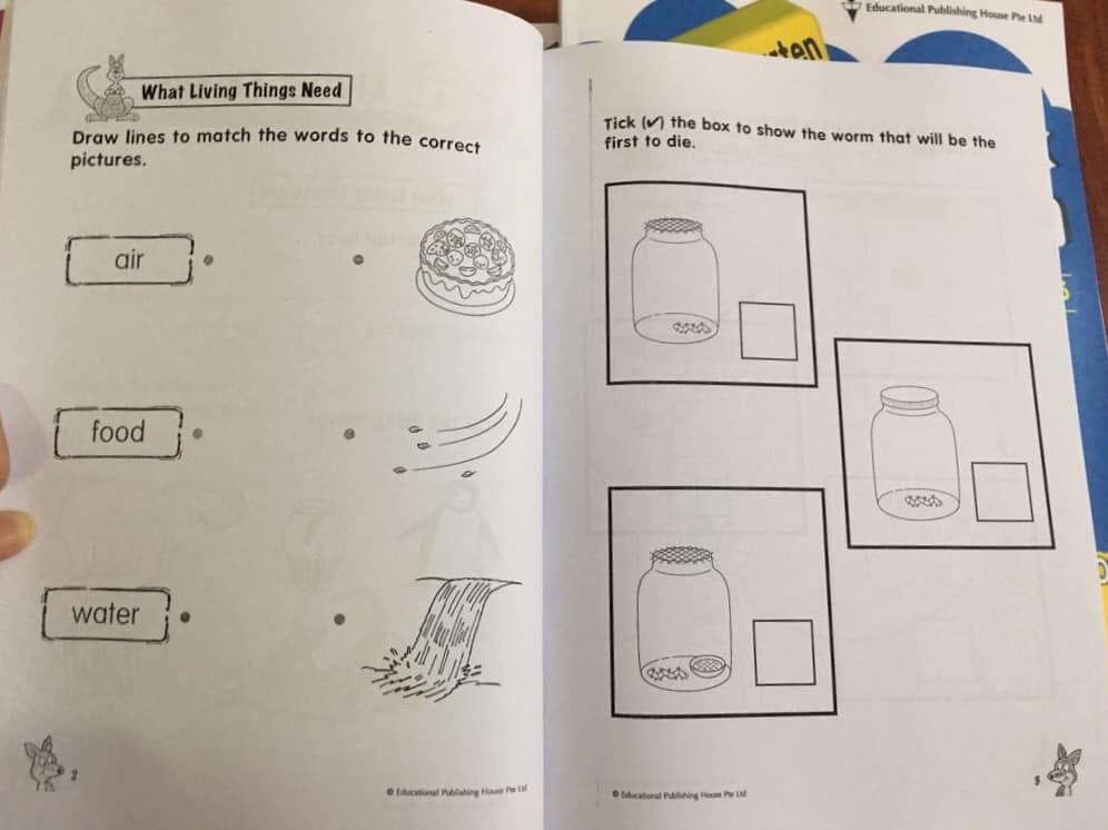 Superbook SCIENCE, MATHS, ENGLISH, CHARACTER BUILDING -  4 quyển