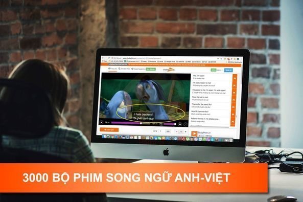 Study phim - Gói tài khoản 2 năm