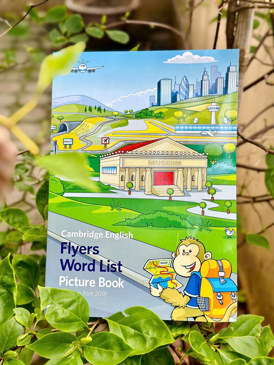 Cambridge Word List Picture book - Bộ 3 quyển