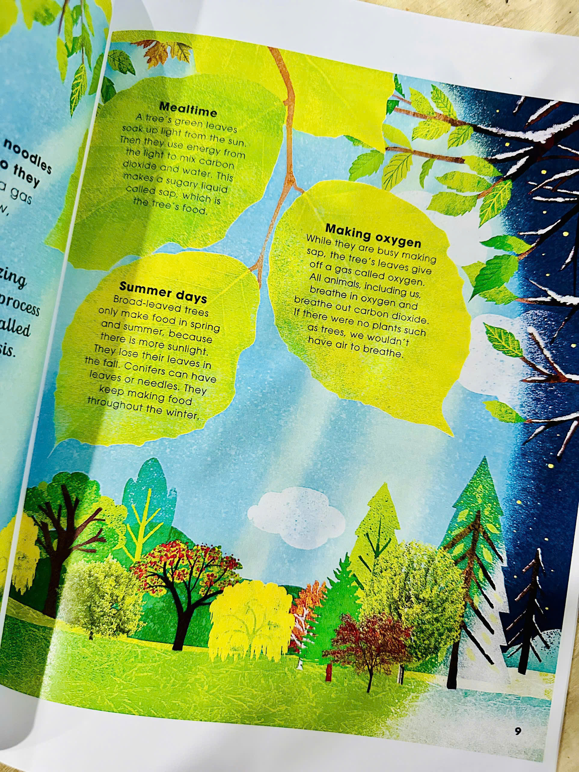 The Magic and Mystery of Trees