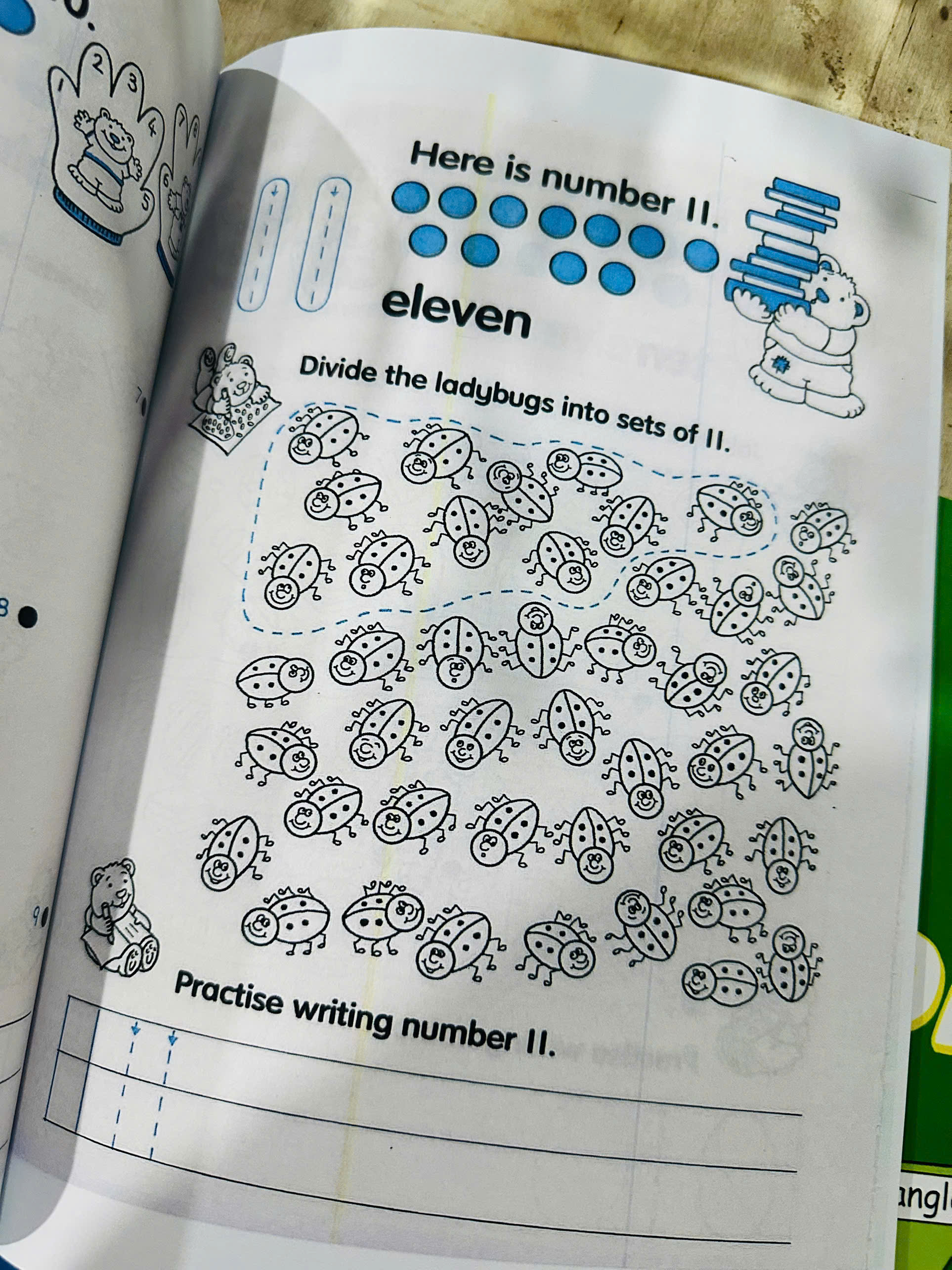 Fun to Learn Animals - bộ 4 quyển
