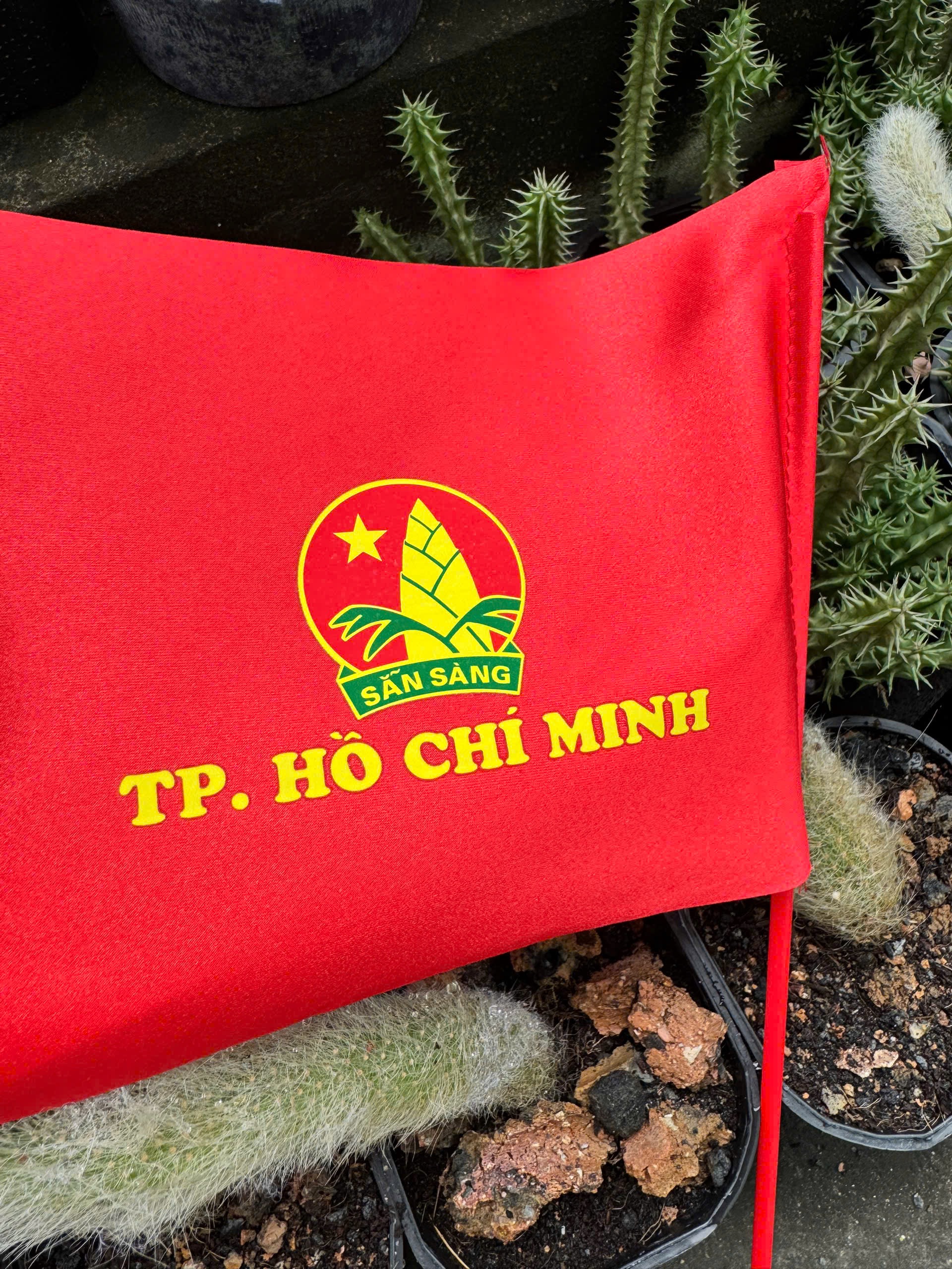 🚩 CỜ CẦM TAY IN THEO YÊU CẦU