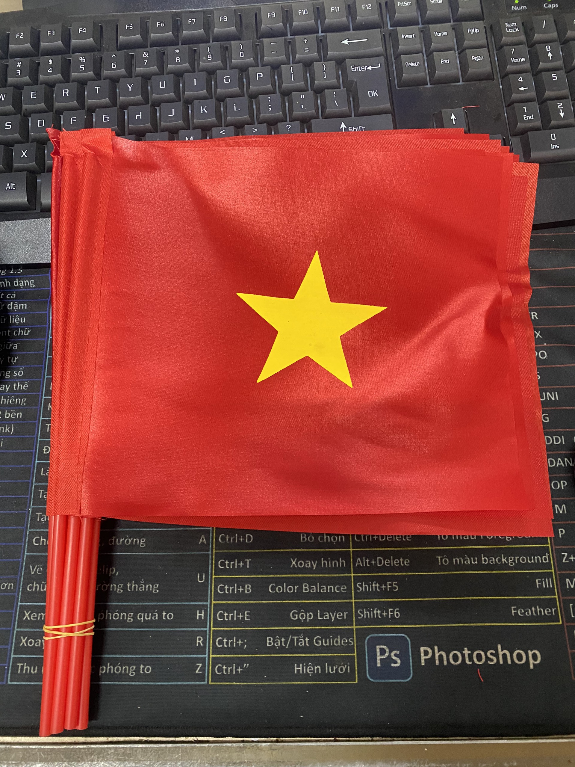Cờ Cầm tay