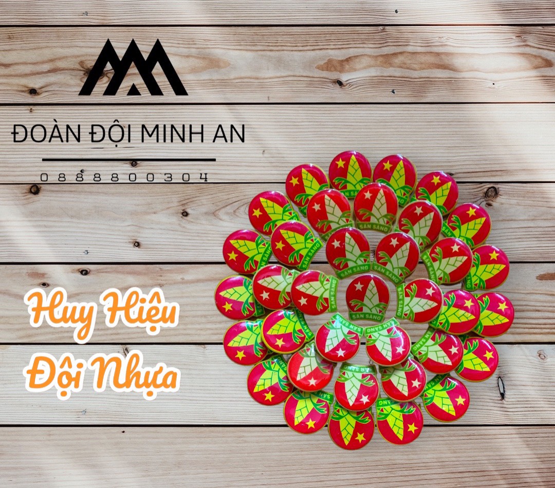 HUY HIỆU ĐỘI TNTP HCM (NHỰA, PHỦ BÓNG, KIM GÀI)