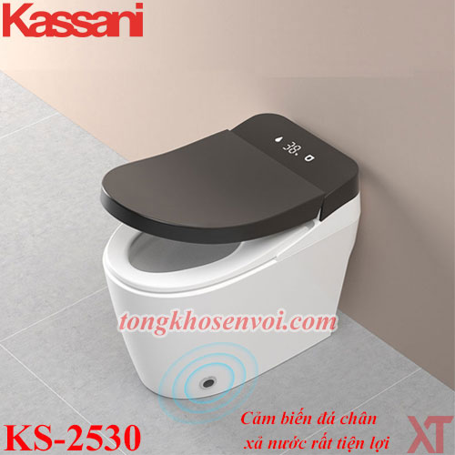 bon cau gia sieu re, bon cau kassani ks-2530