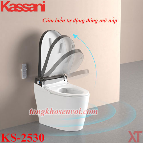 bon cau gia sieu re, bon cau kassani ks-2530