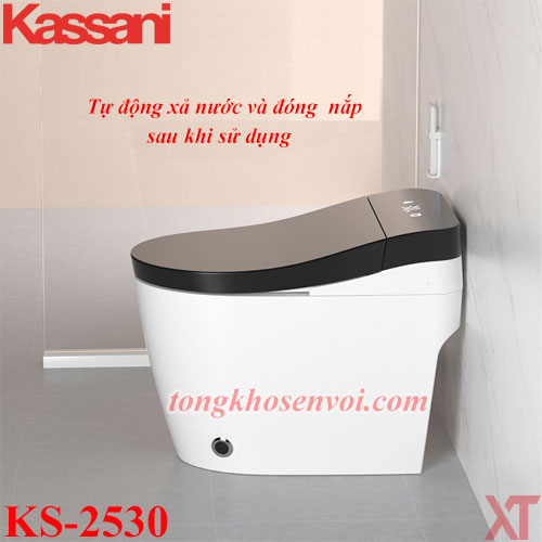 bon cau gia sieu re, bon cau kassani ks-2530, bon cau thong minh
