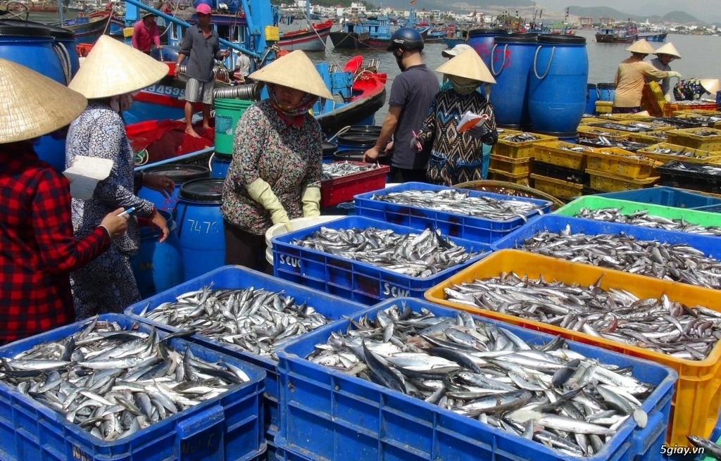 Sóng nhựa bít lớn trong thủy sản