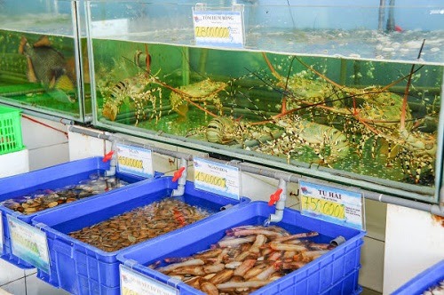 Khay sóng bít dùng để đựng hải sản