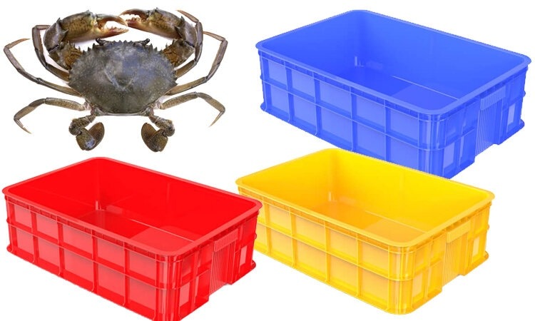 Thùng nhựa sóng bít có nhiều lợi ích từ nông nghiệp tới công nghiệp