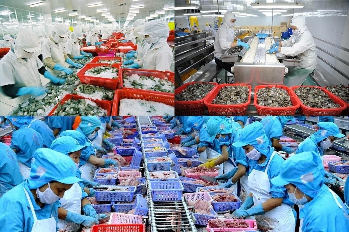 Sóng nhựa công nghiệp sử dụng trong ngành sản xuất