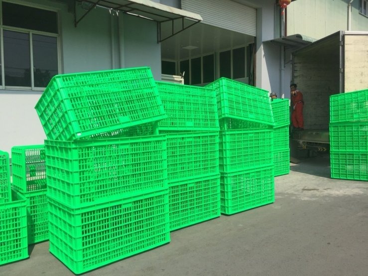 Sọt nhựa chở hàng có độ bền cao và dễ dàng di chuyển