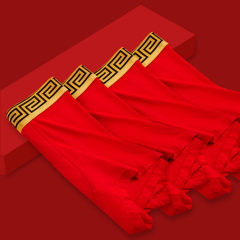 Quần lót nam MN1205 