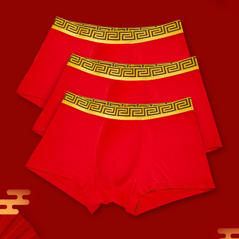 Quần lót nam MN1205 