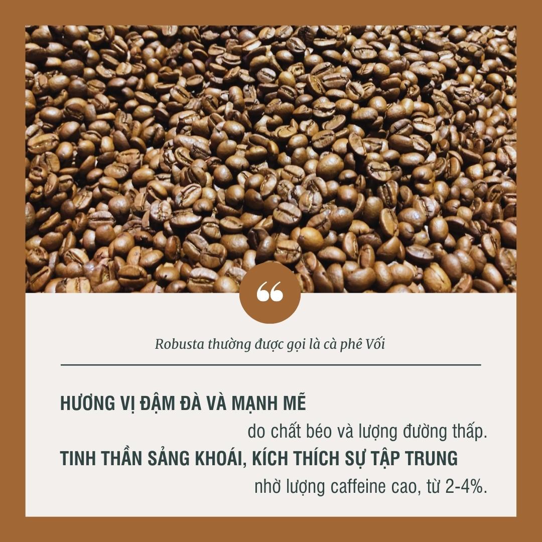 CÀ PHÊ ROBUSTA ĐẮK LẮK- RANG MỘC NGUYÊN CHẤT, Pha phin, Pha máy, pha thủ công đậm đà, thơm nồng, hậu vị đắng dài từ Fin Coffee, Gu mạnh.