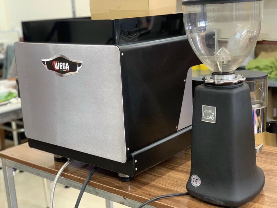 MÁY PHA CÀ PHÊ WEGA PEGASO 1 GROUP - Mới