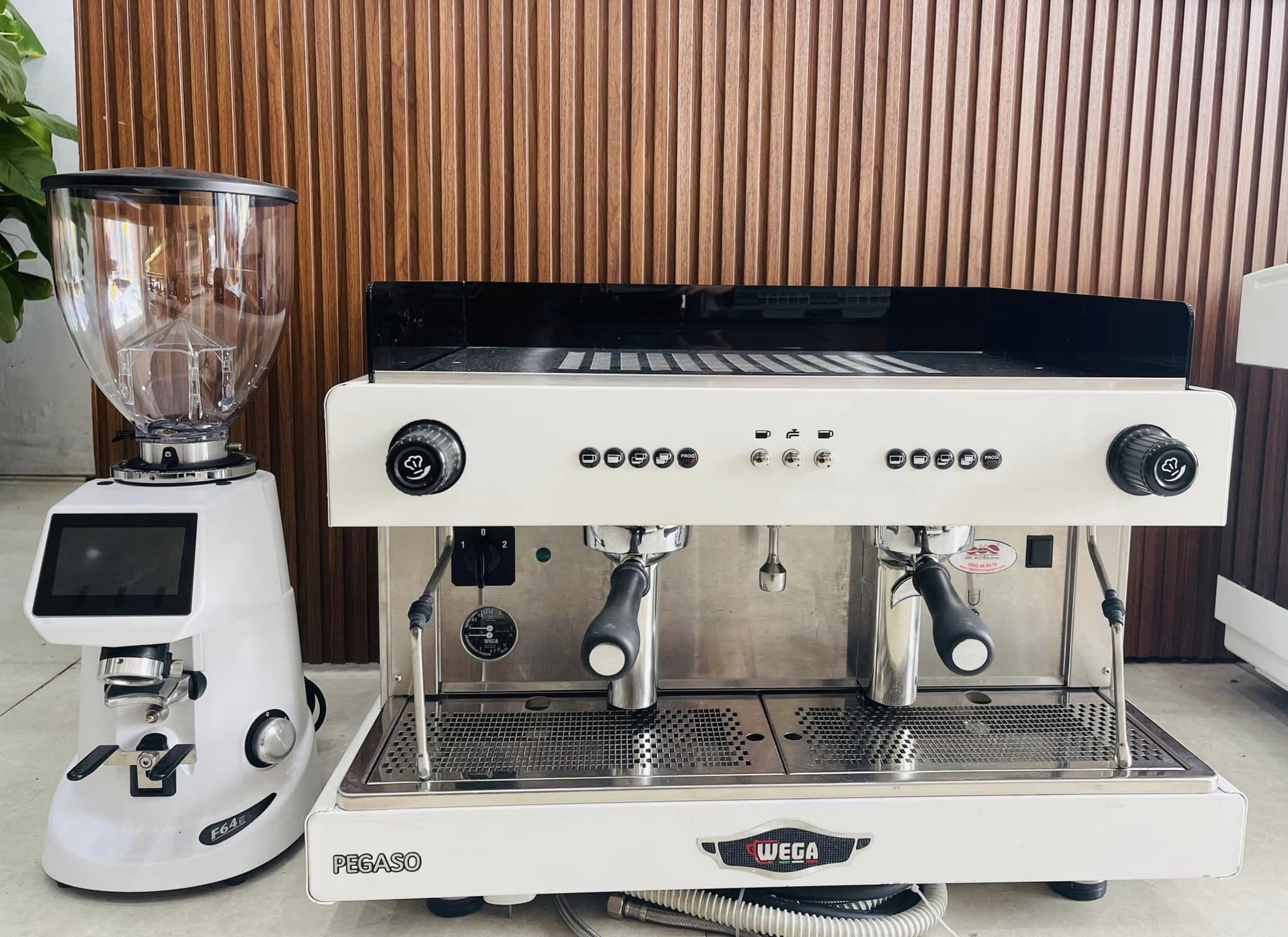 MÁY PHA CÀ PHÊ WEGA PEGASO 2 GROUP - Mới
