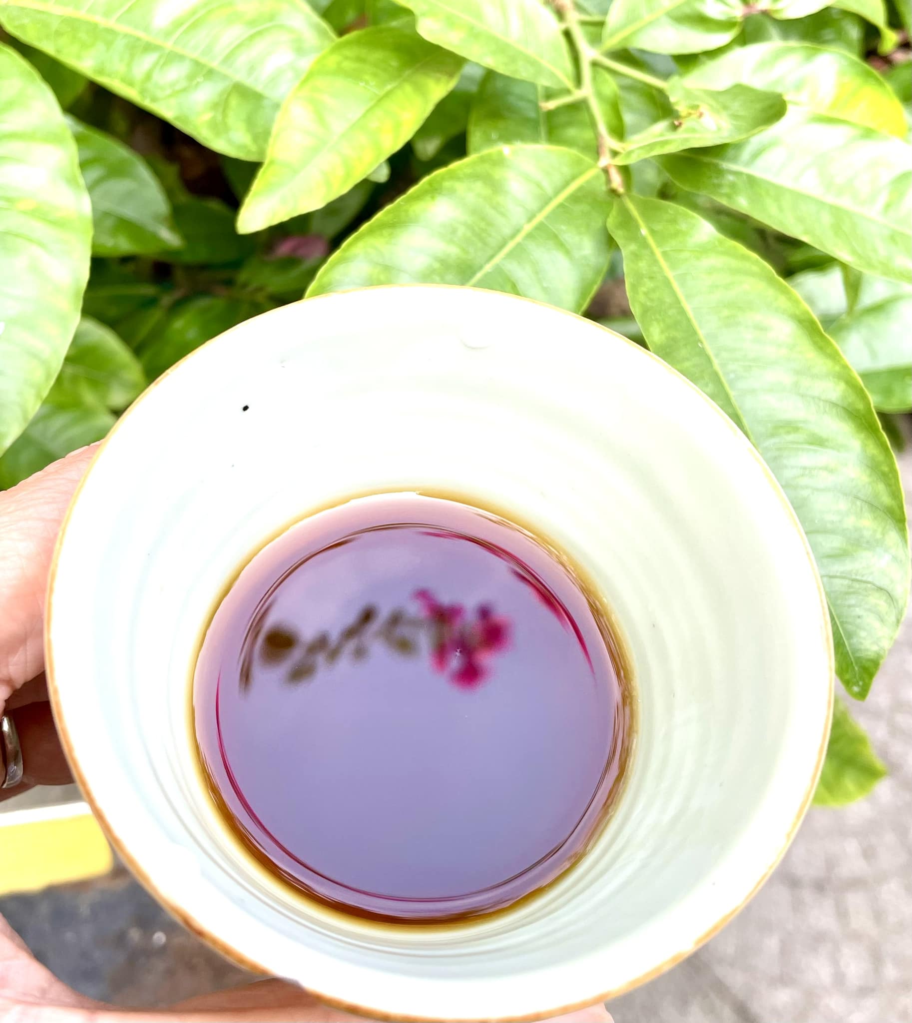 CÀ PHÊ ARABICA KHE SANH- RANG MỘC NGUYÊN CHẤT