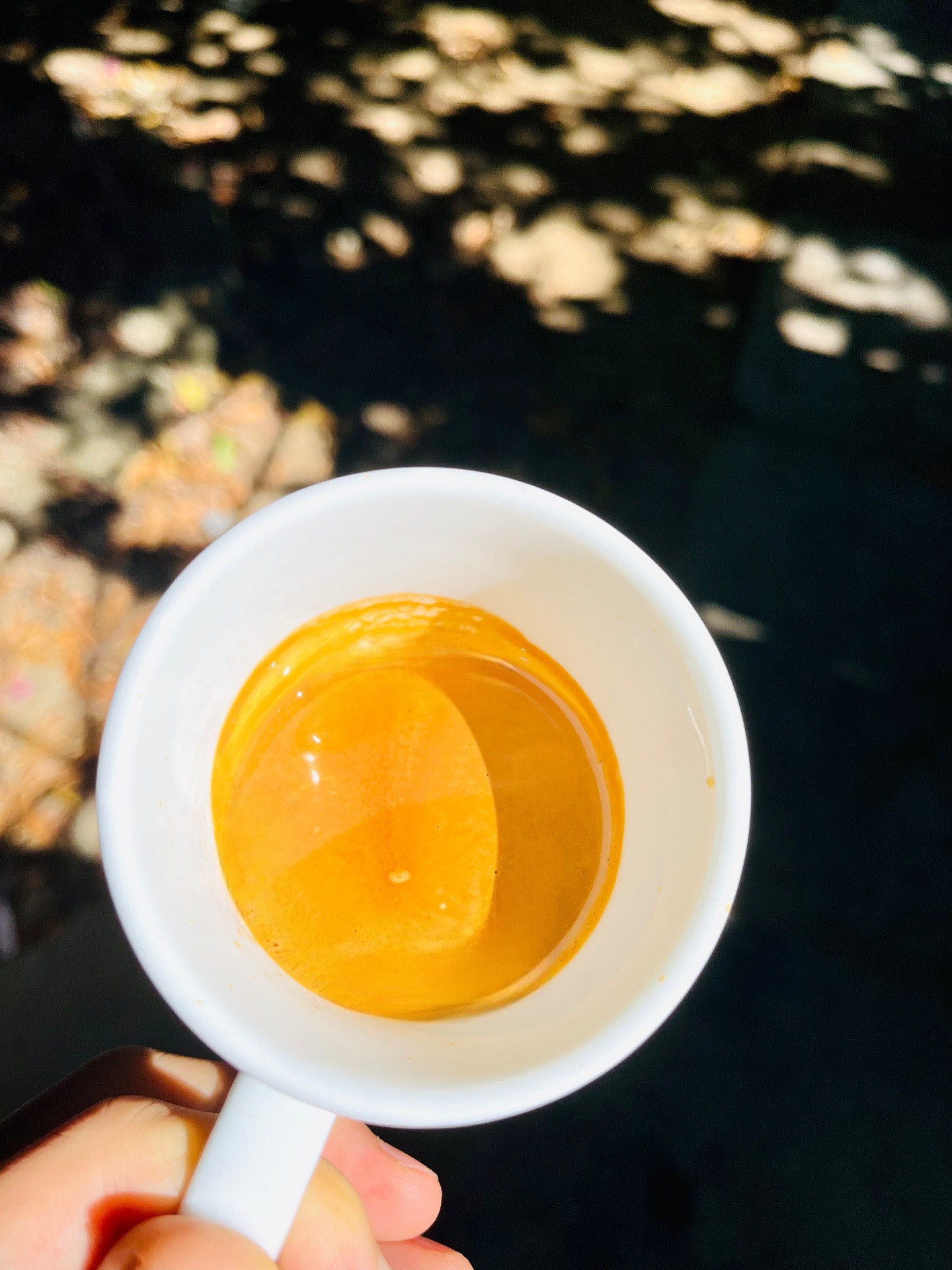 CÀ PHÊ ARABICA KHE SANH- RANG MỘC NGUYÊN CHẤT