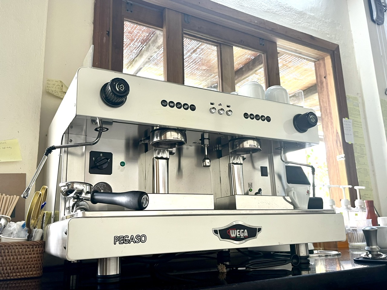MÁY PHA CÀ PHÊ WEGA PEGASO 2 GROUP - Mới
