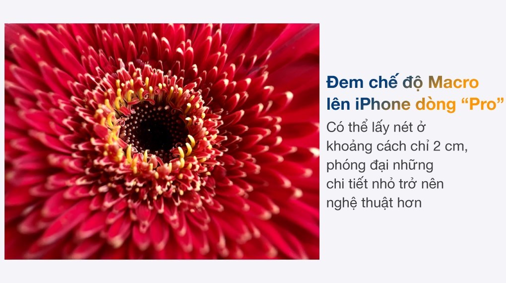 Điện thoại iPhone 13 Pro Max 1TB (Vàng Đồng)