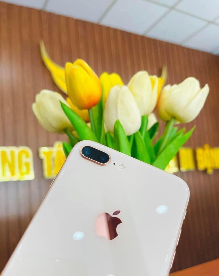 Iphone 8 Plus 64GB Gold