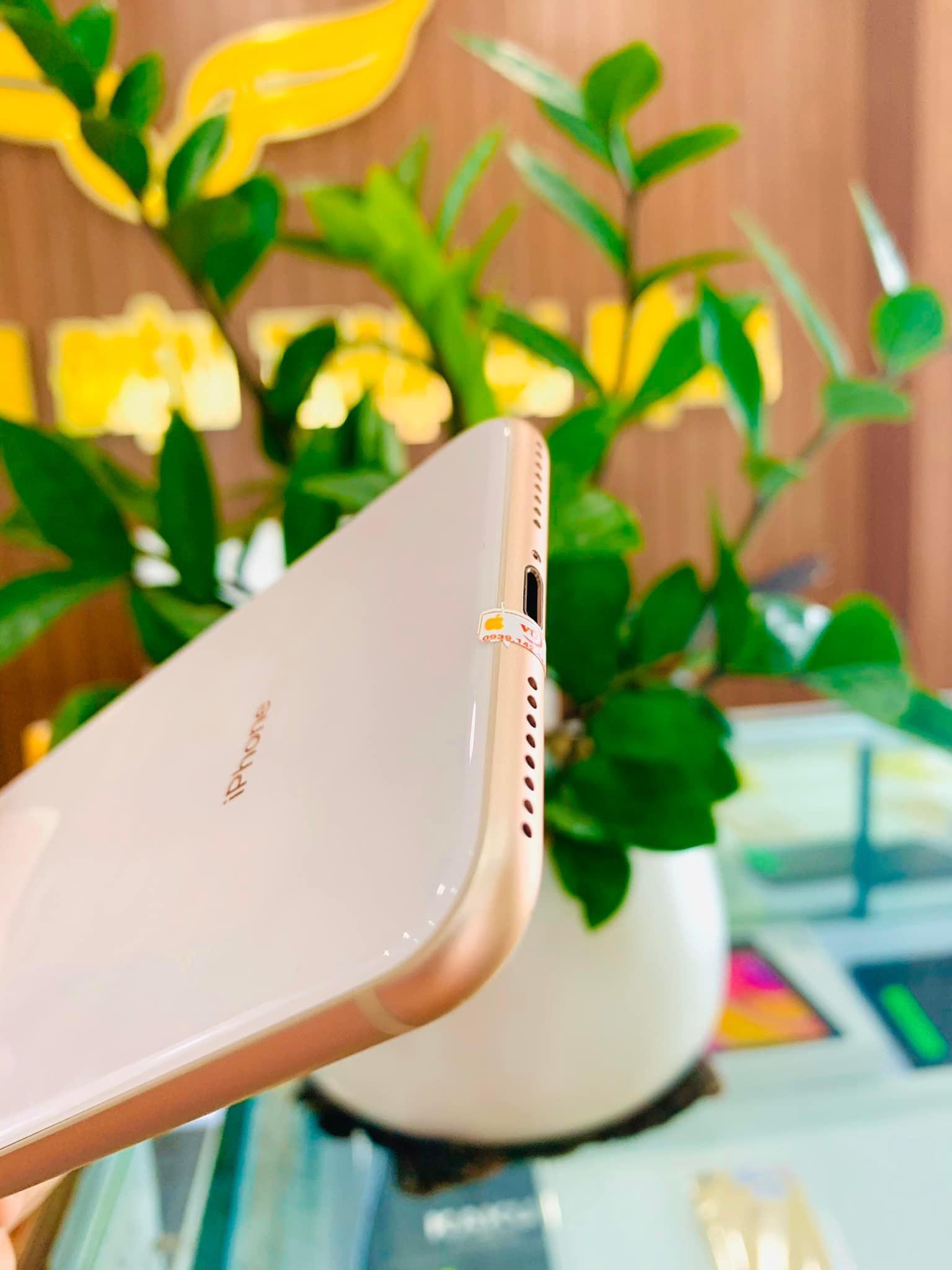 Iphone 8 Plus 64GB Gold