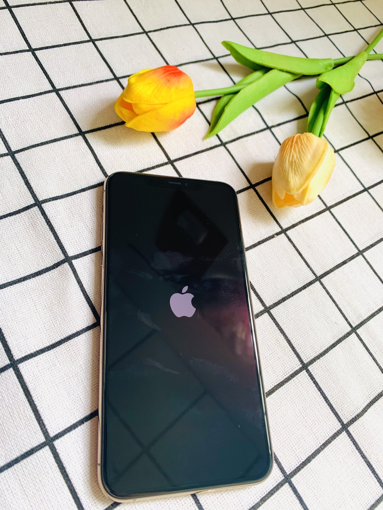 Điện thoại iPhone 11 Pro Max 256GB ( Vàng Gold )