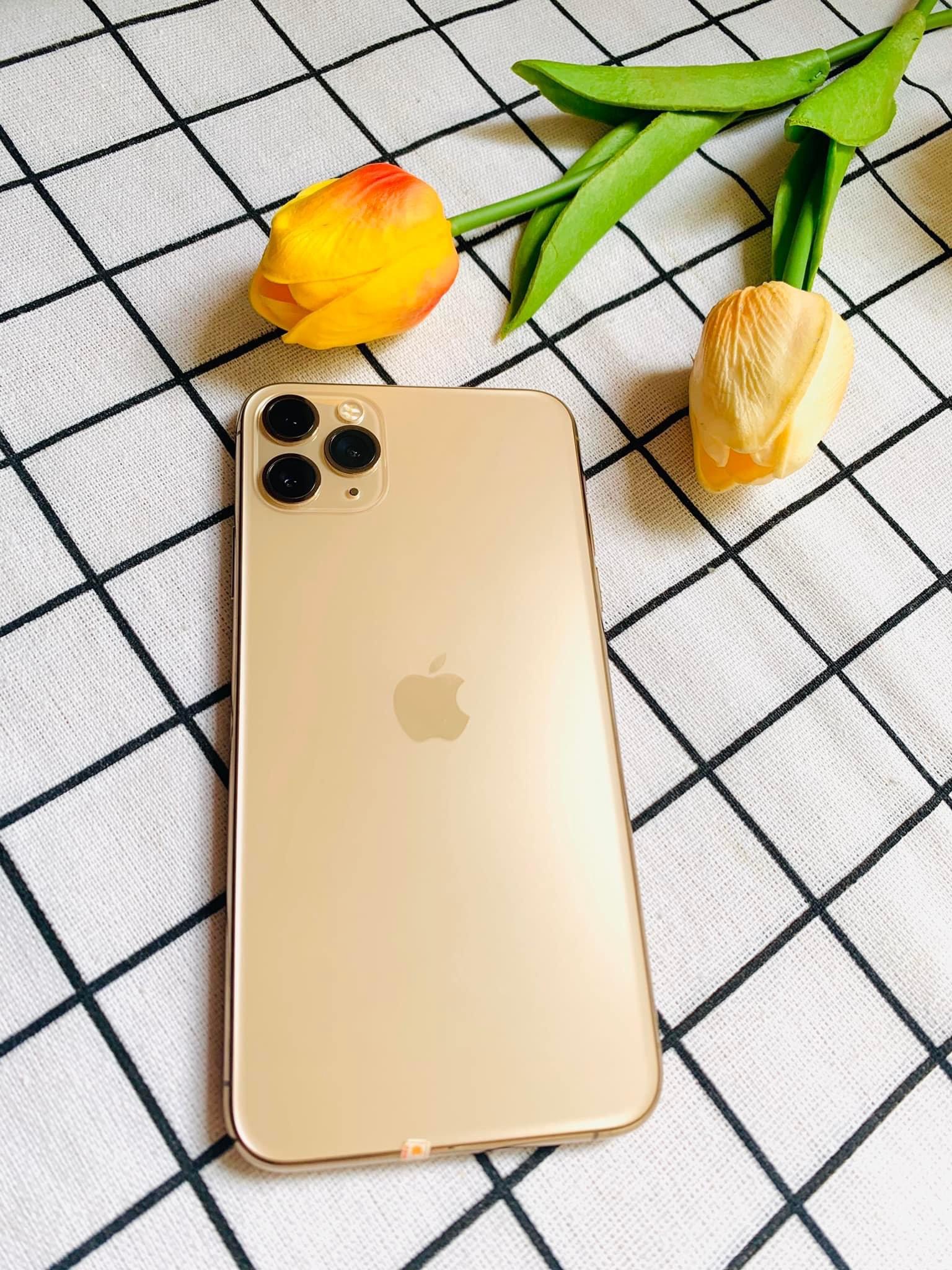 Điện thoại iPhone 11 Pro Max 64GB ( Vàng Gold )