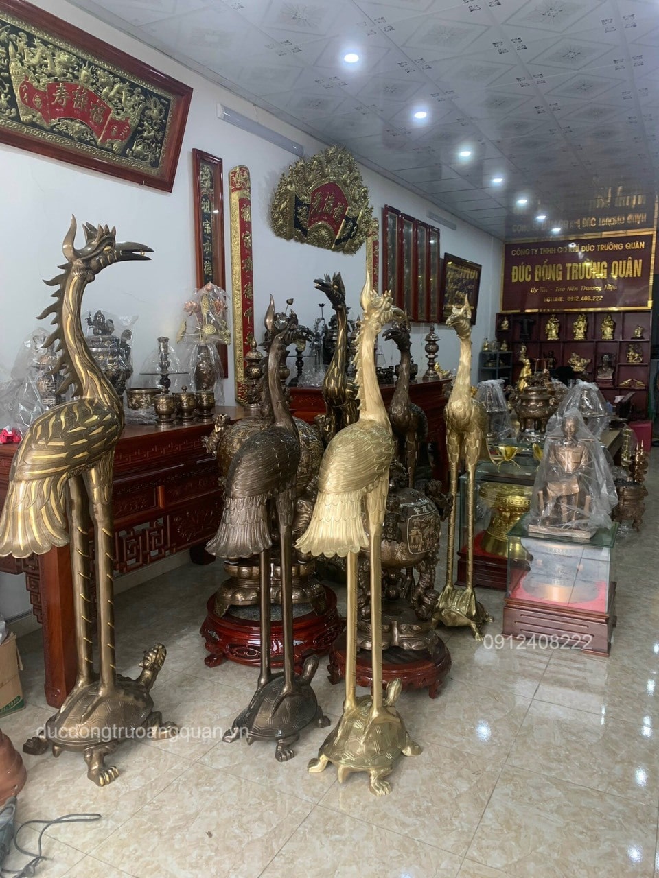 HẠC ĐỒNG VÀNG CAO 1M76