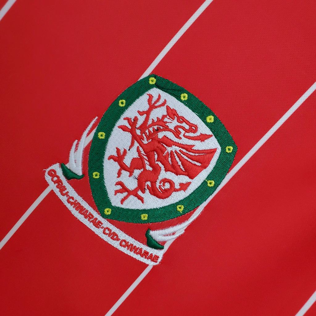 Retro Wales 2015 ( Sân Nhà )