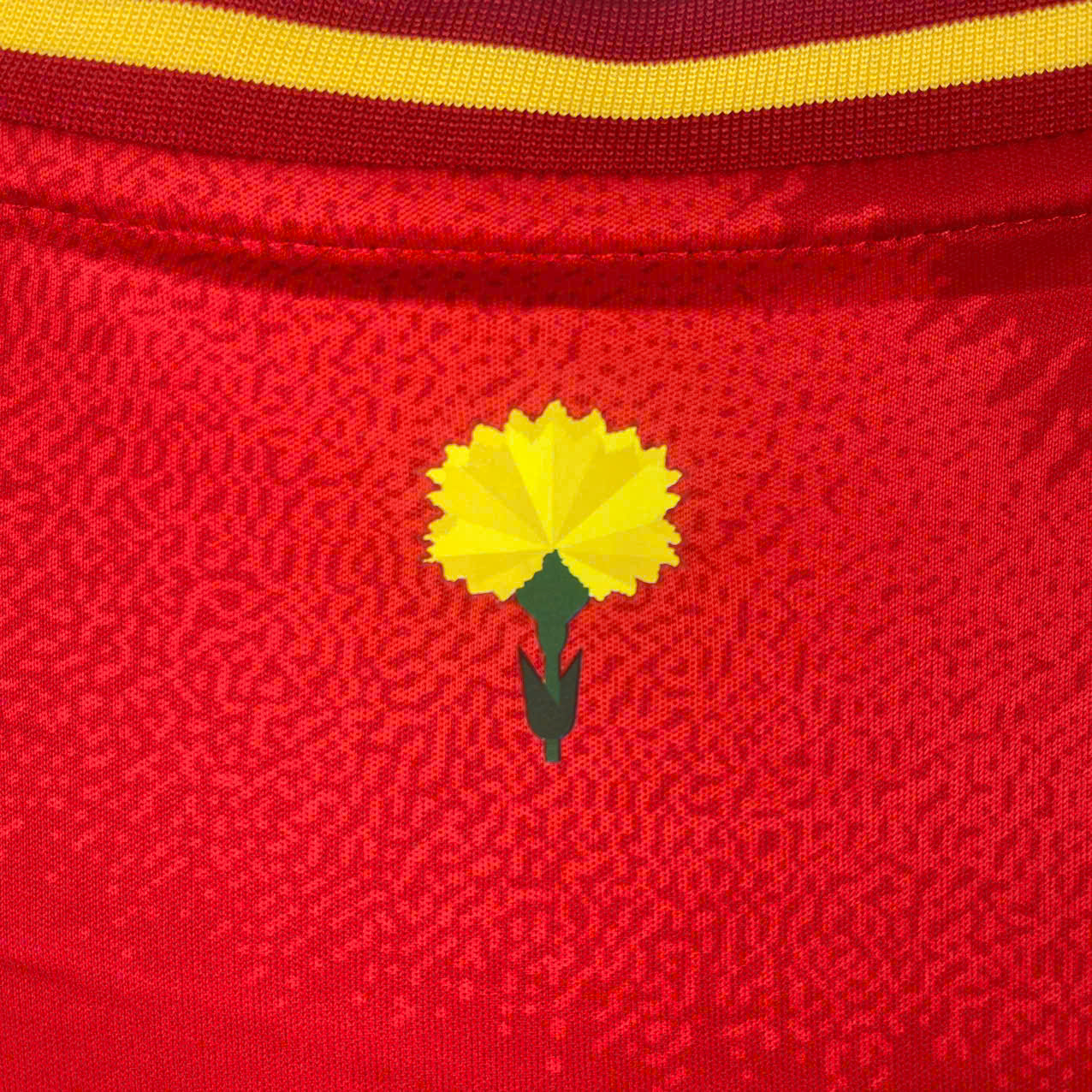 Đồ Fan Tây Ban Nha 2024 ( Sân Nhà )