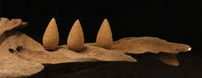 Nhang trầm - Nụ trầm