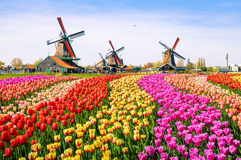 Du lịch châu Âu giá rẻ mùa xuân: Hành trình 6 nước giữa mùa hoa tulip rực rỡ