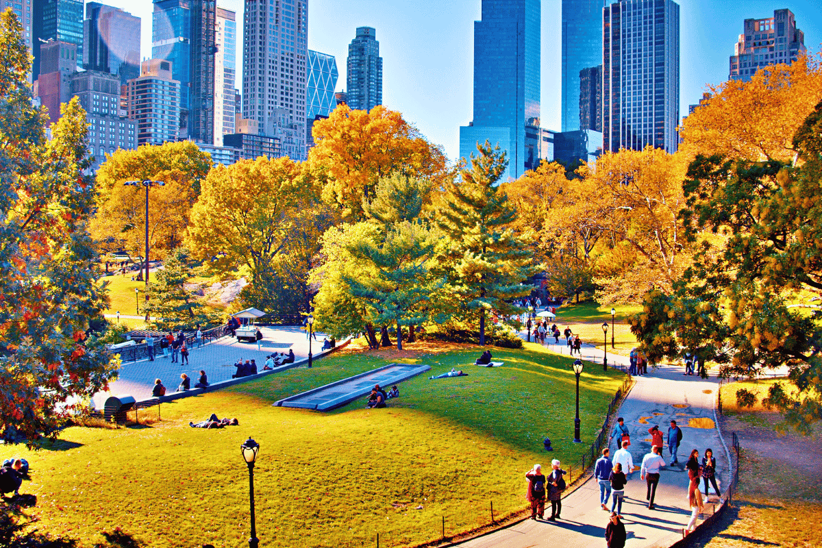 Công viên Trung tâm New York: Khám Phá Thiên Đường Xanh Giữa Lòng Thàn | Ngôi Sao Group - Chuyên tour quốc tế, nội địa, visa giá rẻ