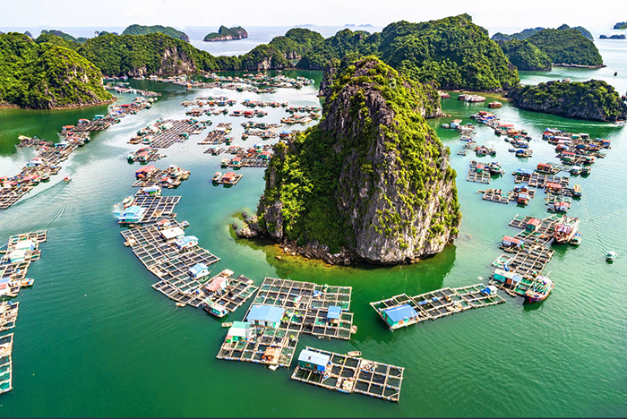 Làng Chài Cửa Vạn – Bình Yên Trên Vịnh Hạ Long (Quảng Ninh)