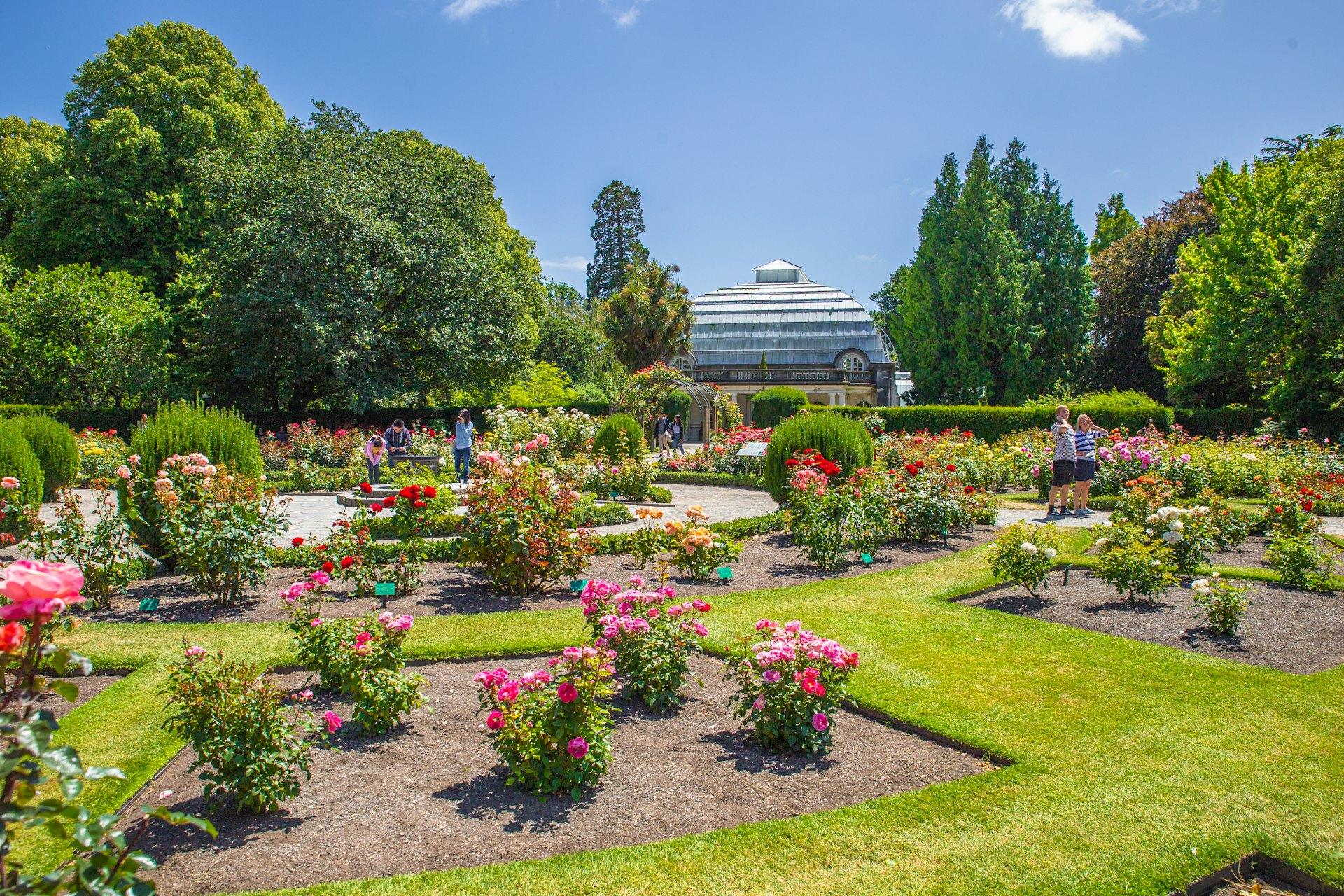 Vườn Bách thảo Christchurch với không gian xanh và vườn hoa rực rỡ – điểm tham quan nổi bật của thành phố Christchurch, New Zealand